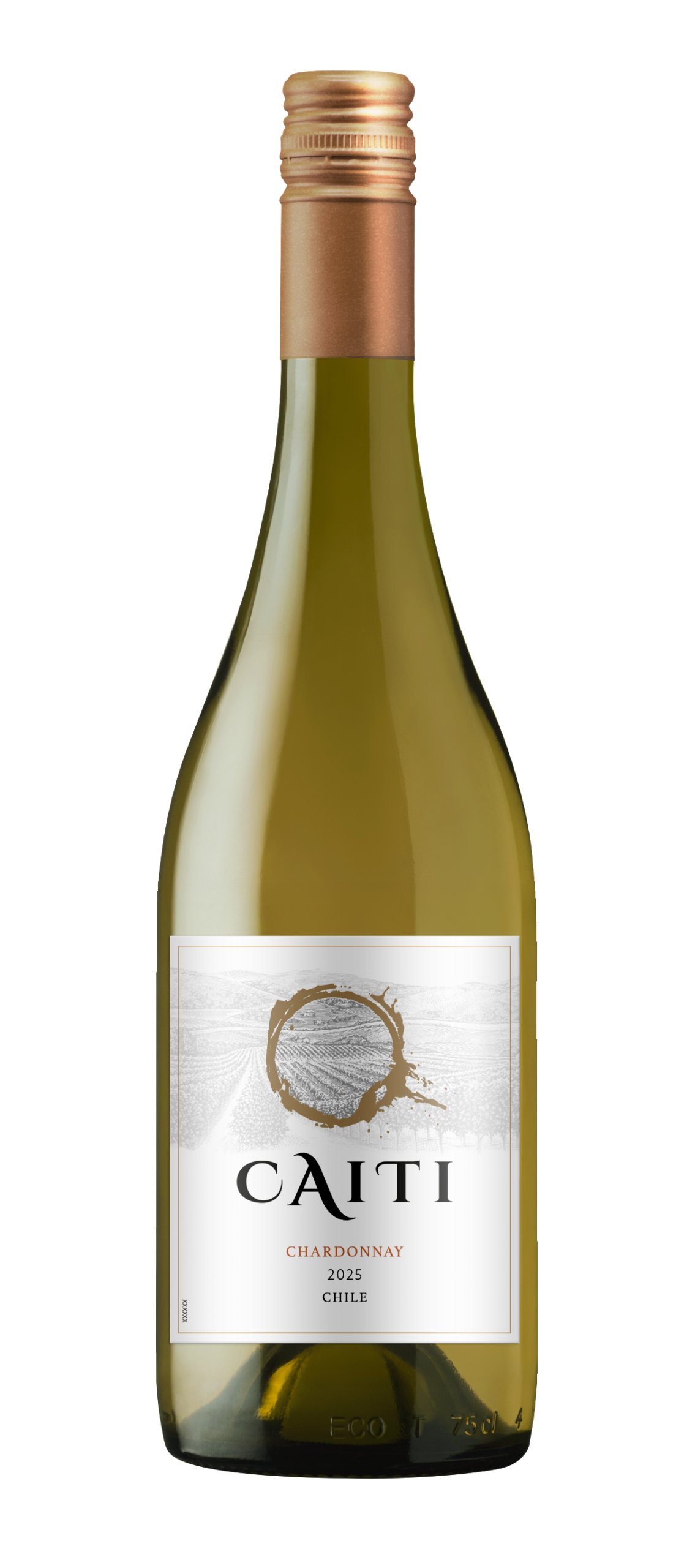 Chardonnay